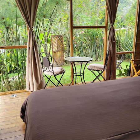 Exclusivo Cocora Con Jacuzzi Salento Quindio别墅 外观 照片
