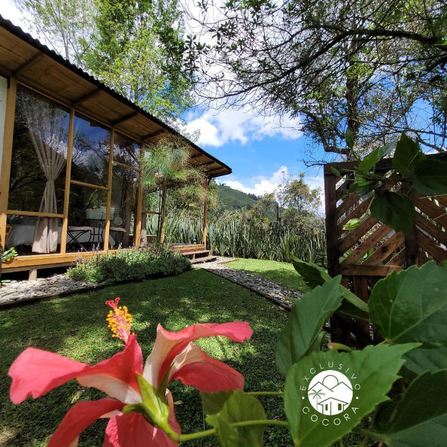 Exclusivo Cocora Con Jacuzzi Salento Quindio别墅 外观 照片