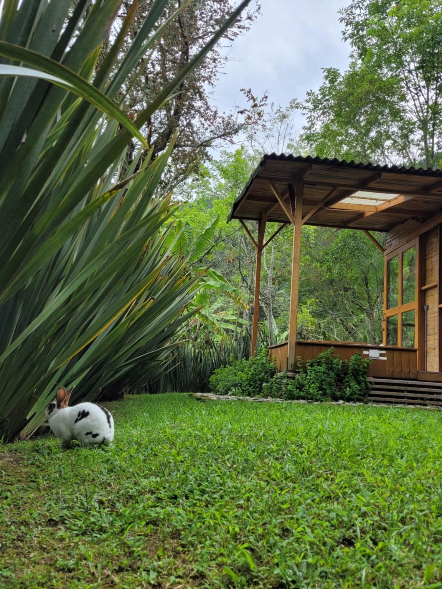 Exclusivo Cocora Con Jacuzzi Salento Quindio别墅 外观 照片
